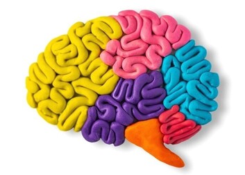 TÝDEN PAMĚTI 2025 se zaměří na Alzheimerovu nemoc. Městská charita Plzeň poskytne informace a organizuje sbírku