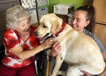 Labrador Čiko přináší radost seniorům v domovech