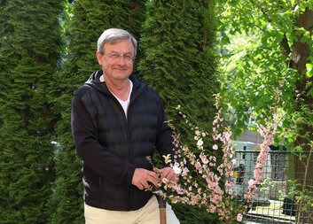 Emeritní ředitel MCHP Pavel Janouškovec zasadil sakuru na zahradě Domova sv. Aloise