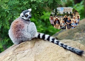 Klientky Domova sv. Zity vyrazily v letním počasí do zoo, ochladily se pohledem na tučňáky. Následoval výlet k rybníku Boleváku